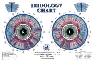 Ellen Tart Jensen's Iridology  Chart